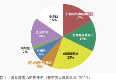 図１：嗅覚障害の原因疾患（慈恵医大嗅覚外来, 2014）